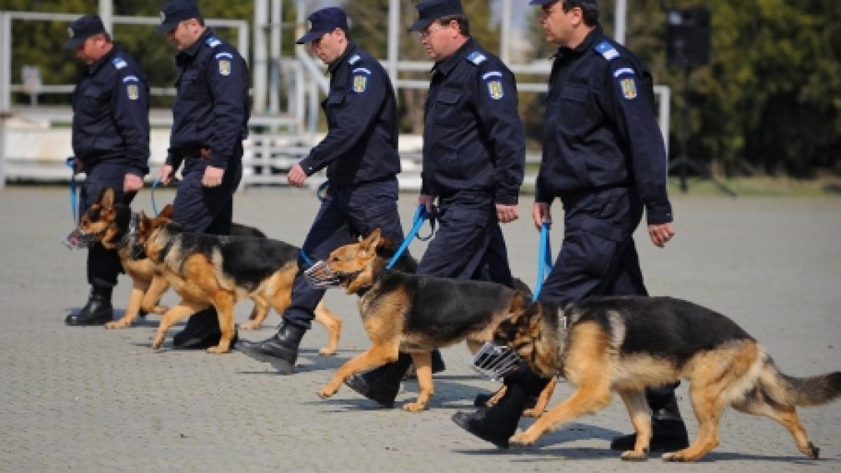 Jandarmeria a marcat 161 ani de la înfiinţare cu evenimente în parcurile din Bucureşti