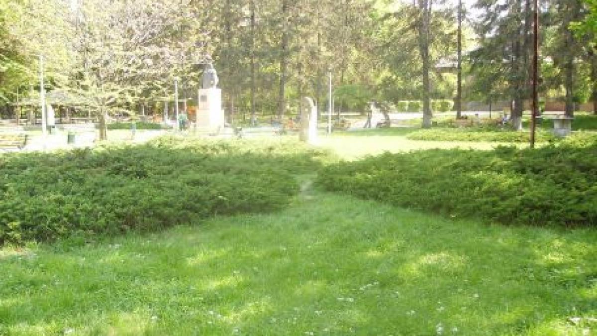 Un bărbat din Găeşti, bolnav psihic, a încercat să violeze o tânără în parc