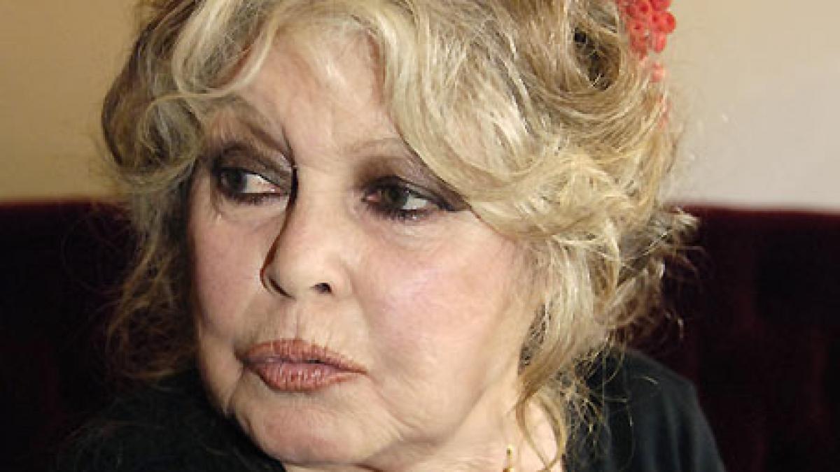 Brigitte Bardot le-a scris deputaţilor români: Eutanasierea câinilor va aminti de trecutul dictatorial al ţării voastre