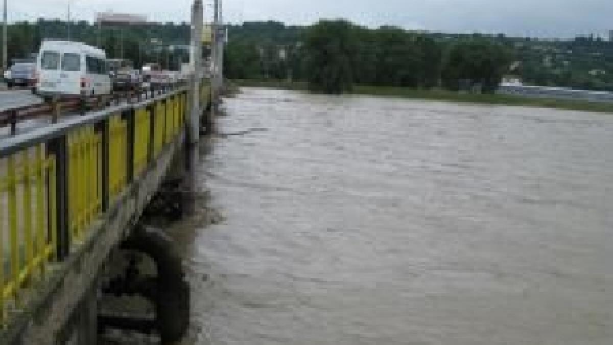 Câine salvat de pompierii din Suceava, după patru zile de izolare pe pilonul unui pod