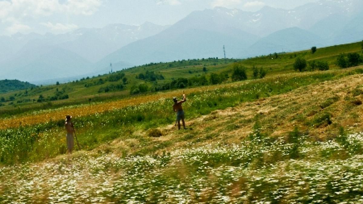 Agricultorii cred că preţurile la alimentele de bază se vor scumpi