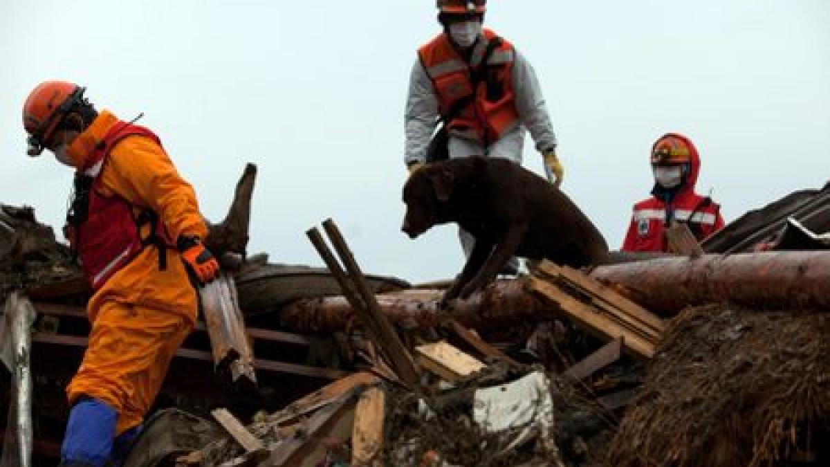 Guvernul japonez permite revenirea primilor localnici în zona centralei de la Fukushima