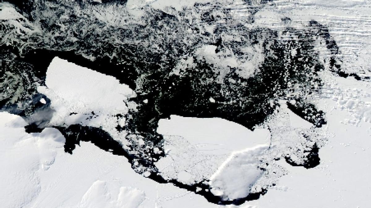 Wikileaks: Resursele naturale de sub Calota Arctică, aspiraţia marilor puteri ale lumii