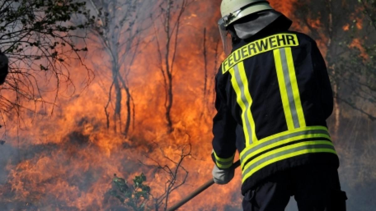 Peste 100.000 de hectare din regiunea Alberta, Canada, distruse de incendii puternice 