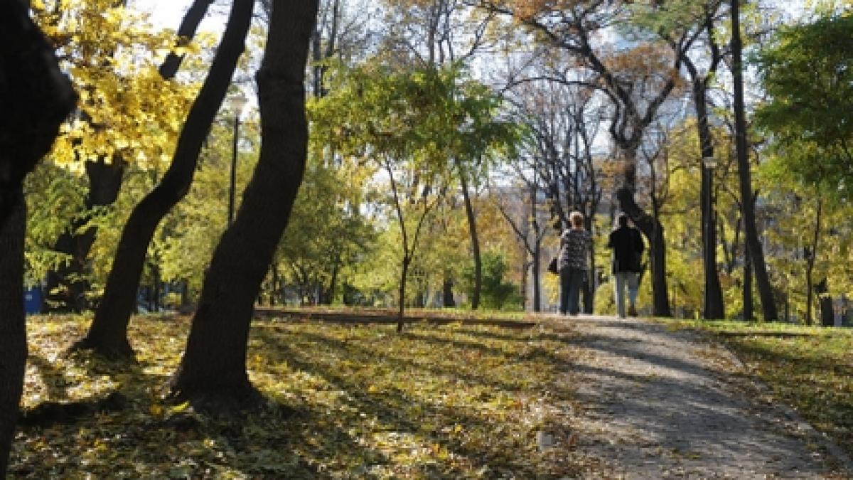 Protest în Alba Iulia, faţă de decizia Primăriei de tăia copacii unui parc