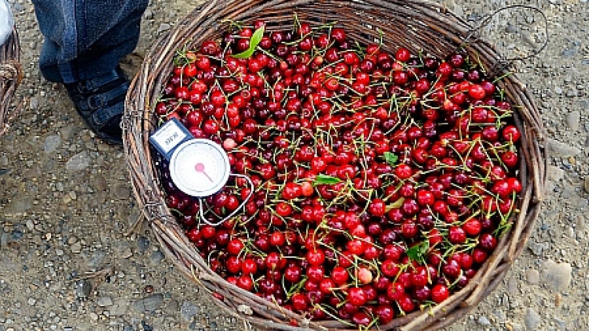 Fructele şi legumele din pieţele româneşti, din ce în ce mai scumpe