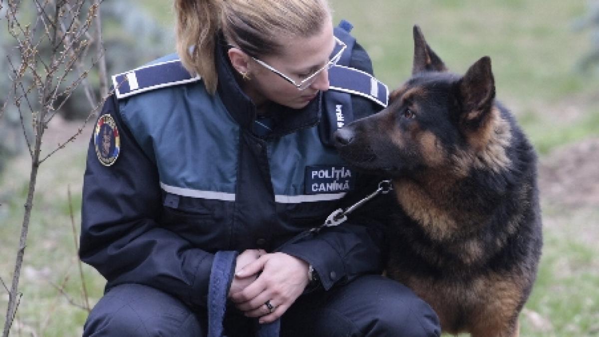 Nouă înfăţişare în instanţă, în procesul dintre Poliţia Română şi Poliţia Animalelor