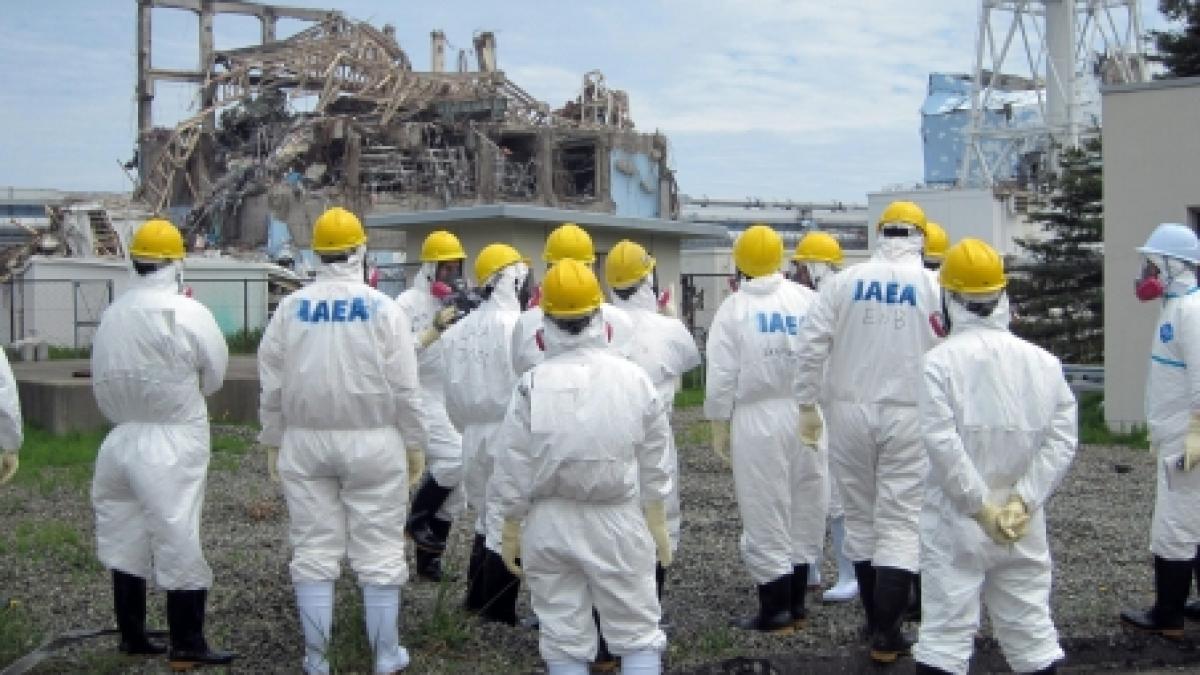 Salvatorii neaşteptaţi ai Japoniei: bătrânii dispuşi să meargă în zona radioactivă