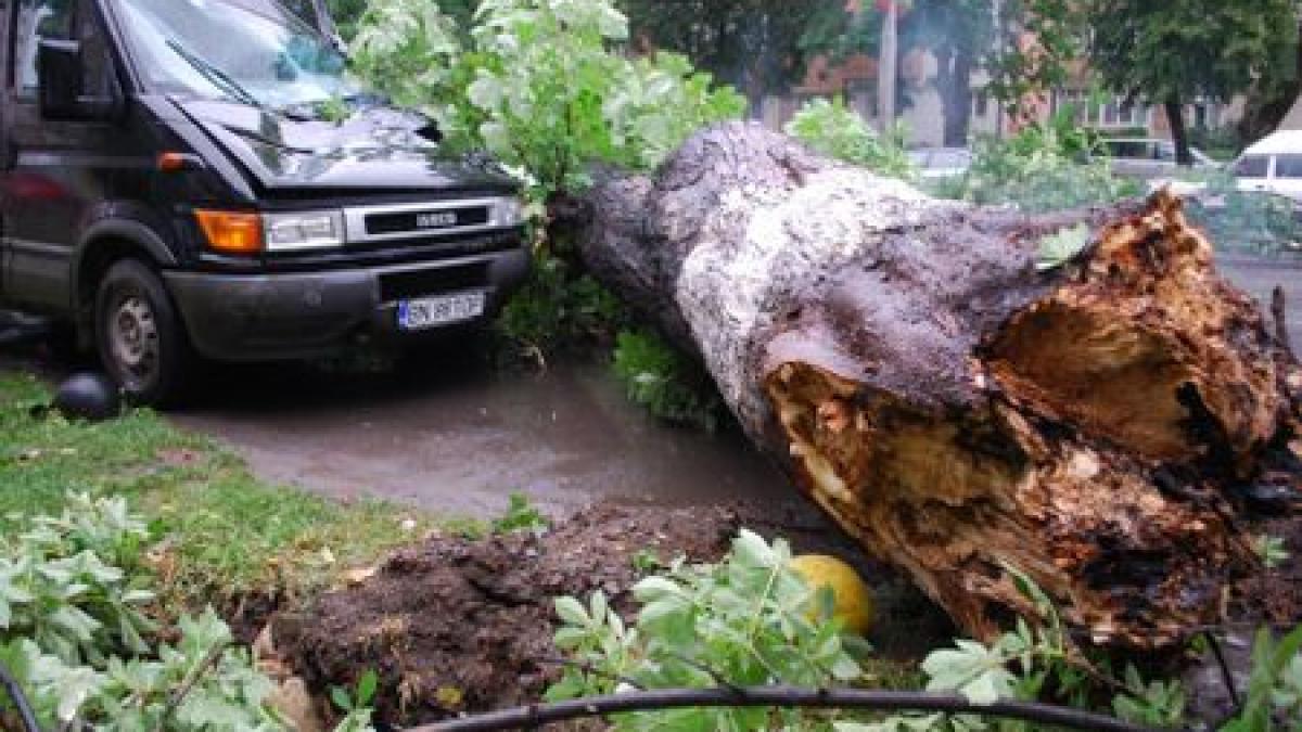 Furtună în Bucureşti: Ploaie torenţială şi copaci căzuţi în toate cartierele