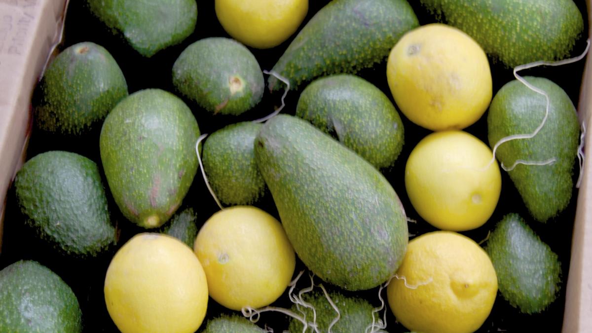 Thailanda a găsit E.coli în fructele avocado aduse din Europa