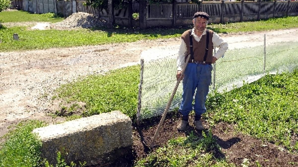 ANAF: Agricultorii care cultivă terenuri mai mari de 20 de hectare vor plăti TVA