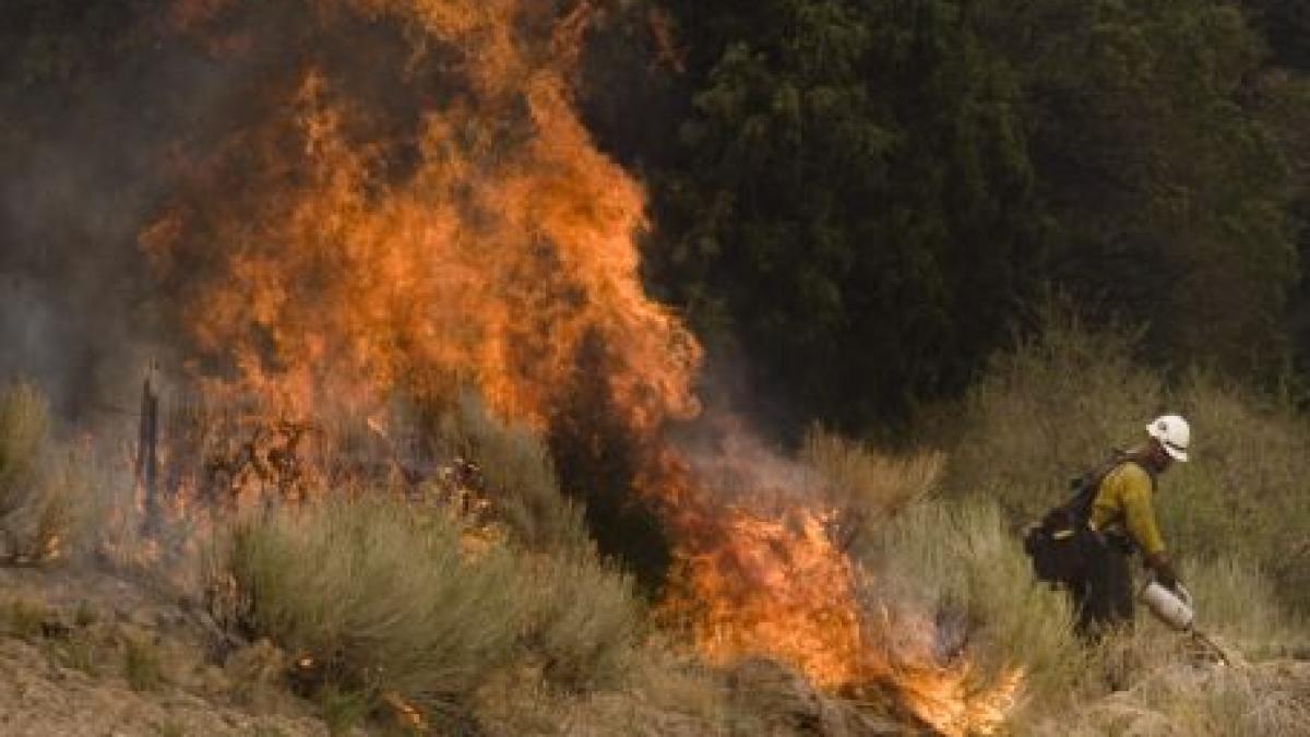 Incendiul din Arizona ar putea deveni cel mai grav din istoria statului