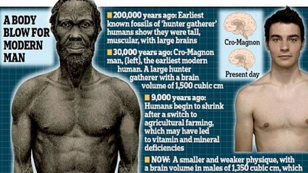Avem creierul mai mic şi suntem mai scunzi decât strămoşii noştri. Vezi cauzele