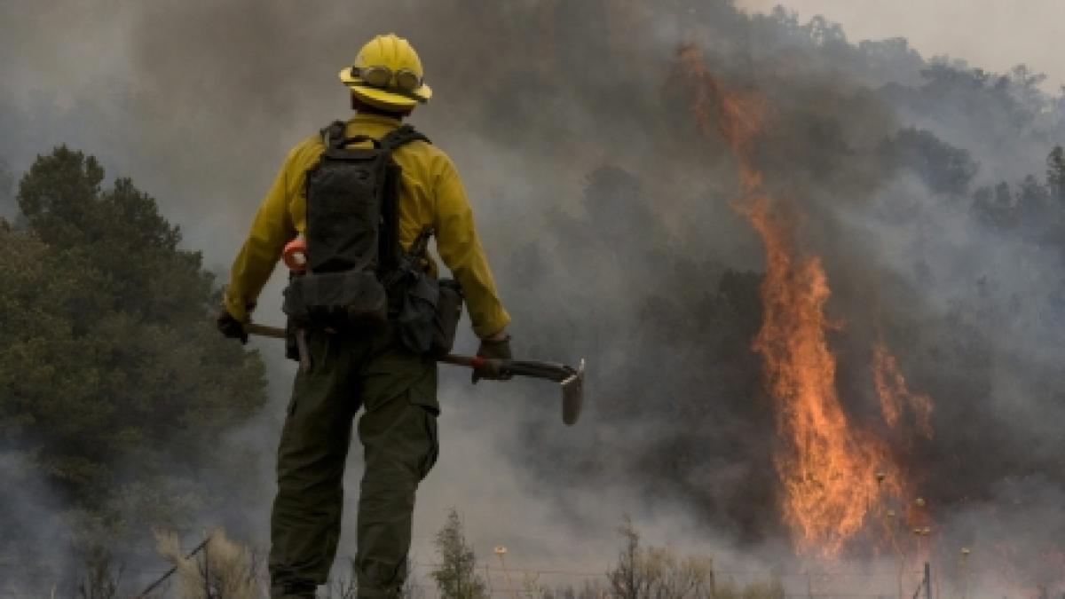 SUA. Cel mai devastator incendiu din Arizona s-a dublat în ultimele 12 ore