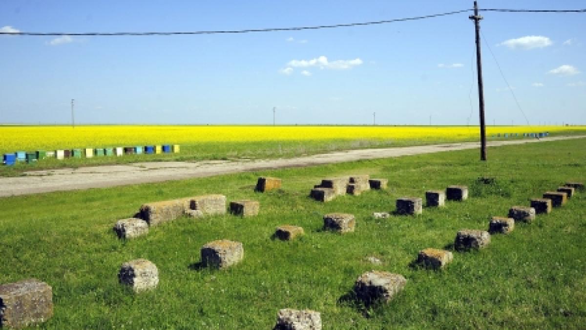 Agricultura ecologică capătă popularitate în România