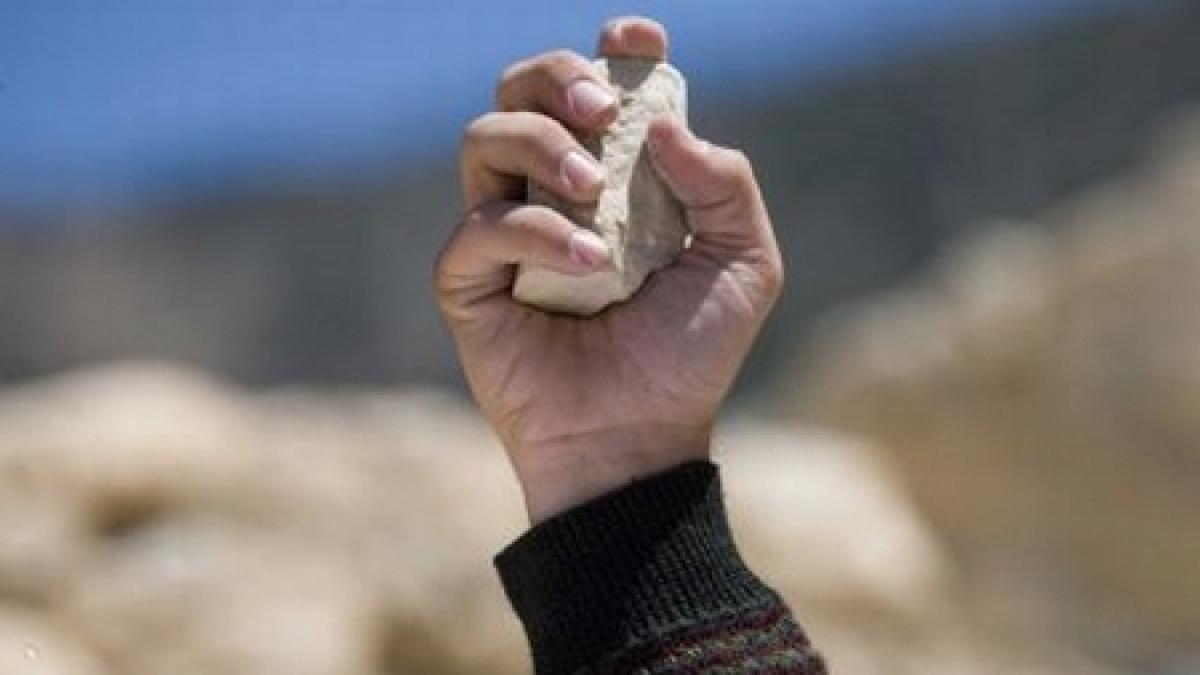 Un câine vagabond, condamnat la moarte prin lapidare de un tribunal din Ierusalim