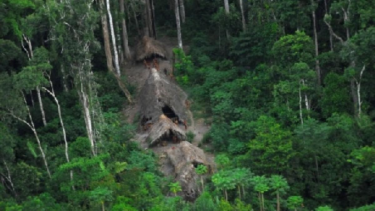 Un trib indigen izolat de lume a fost descoperit în pădurea Amazonului, în Brazilia