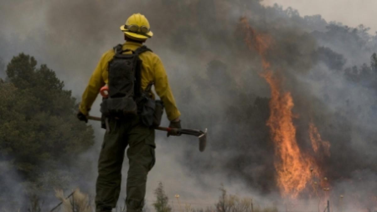 Fălticeni. O fabrică de prelucrare a lemnului a fost devastată de un incendiu