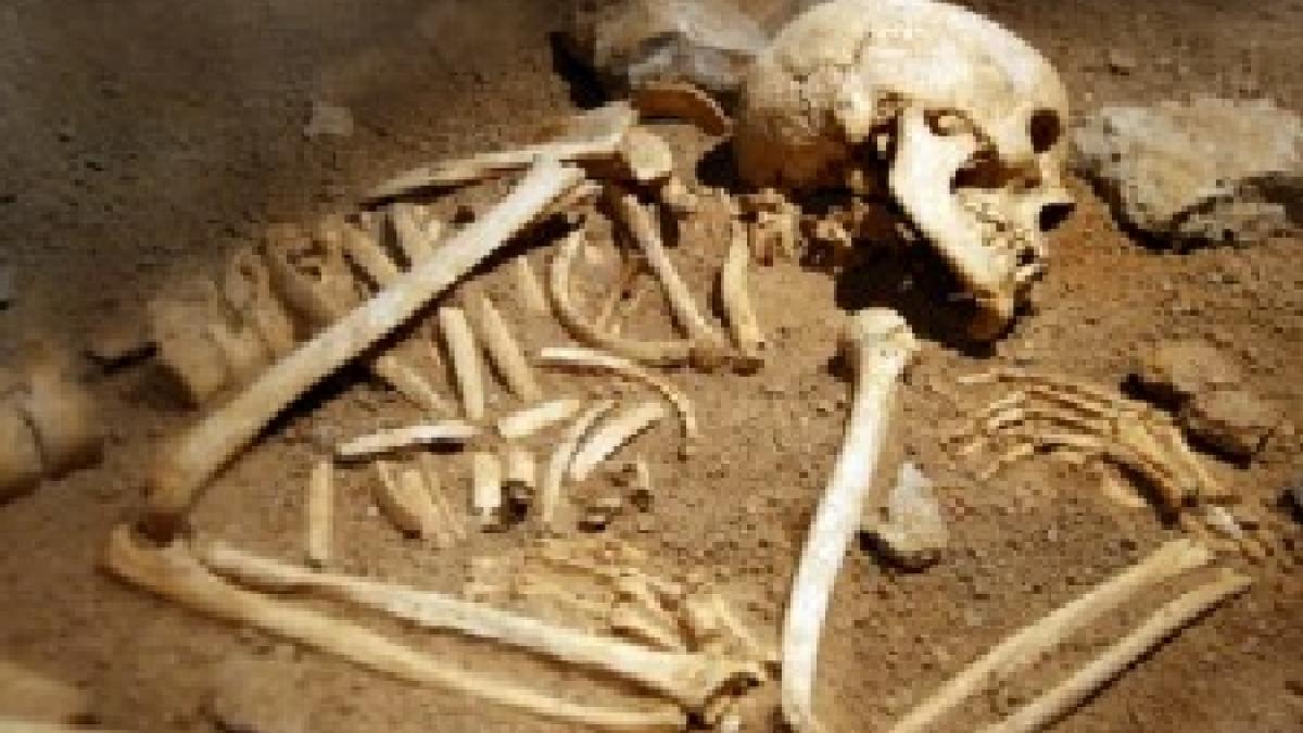 Ucraina: Oseminte de homo sapiens, vechi de 32.000 de ani, descoperite în Crimeea