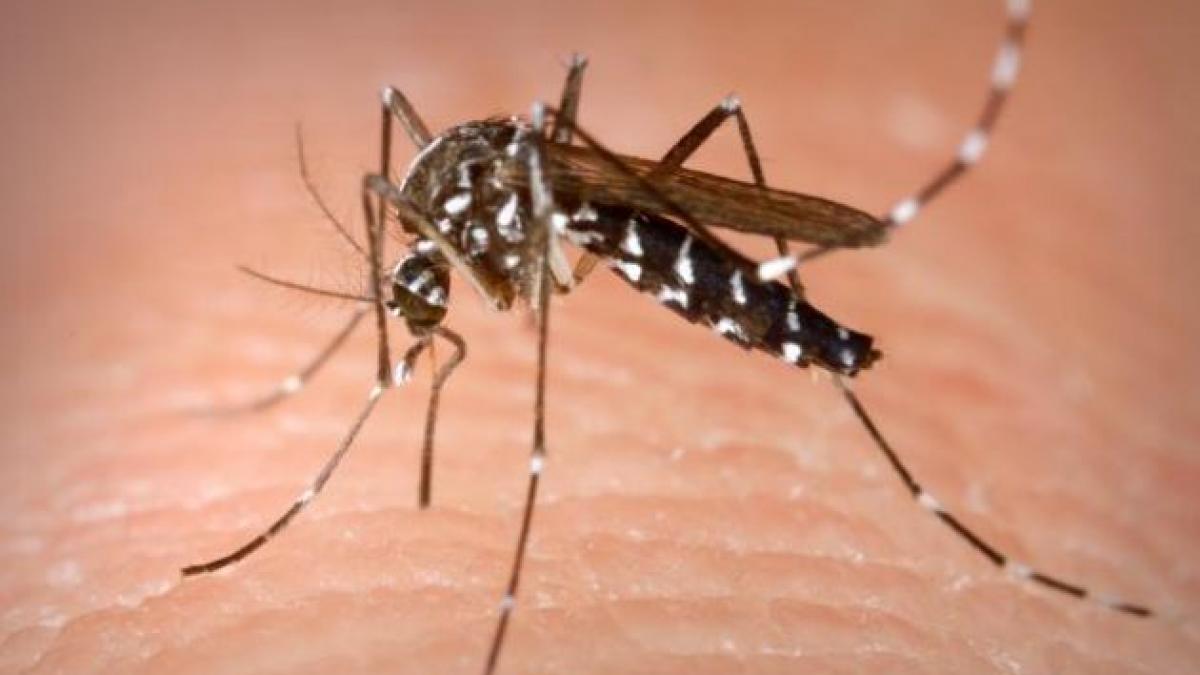 Primul caz de meningoencefalită provocată de virusul West Nile, confirmat de Institutul Cantacuzino