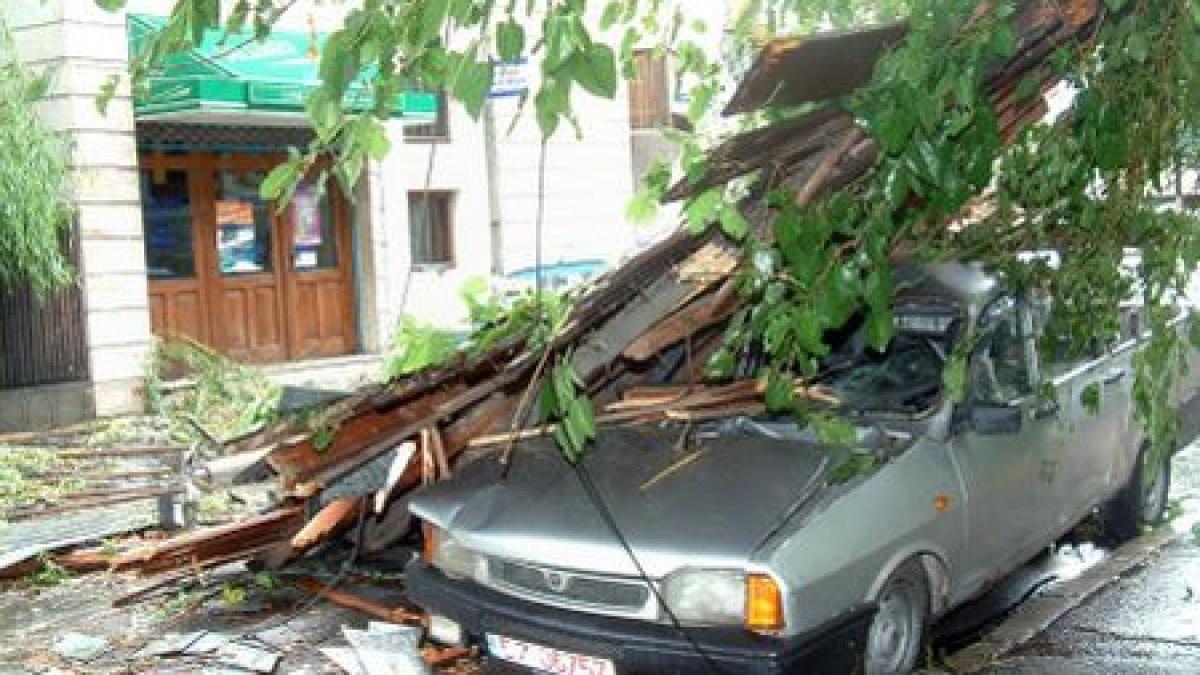 Acoperişuri smulse de vânt şi copaci puşi la pământ, în Bistriţa-Năsăud şi Baia Mare