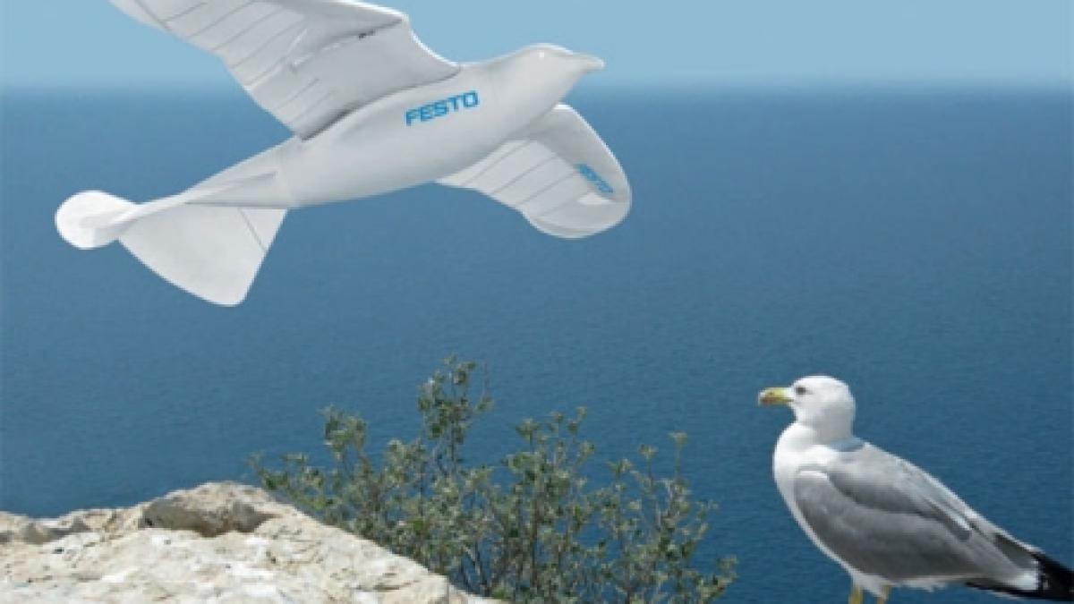 Invenţie. SmartBird, robotul care zboară la fel ca o pasăre