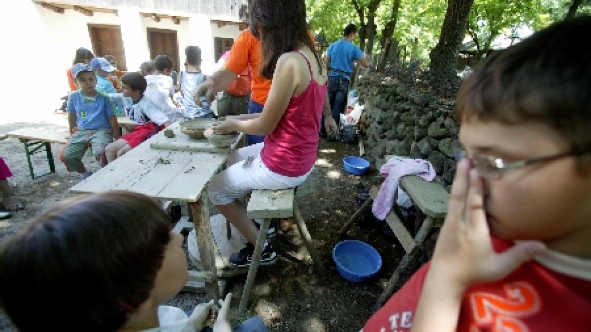 Braşov. 26 de elevi aflaţi într-o deplasare cu şcoala au făcut toxiinfecţie alimentară