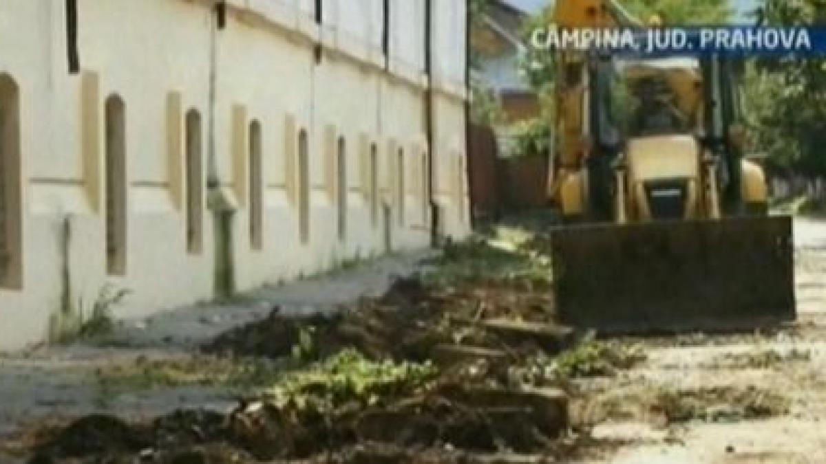 Câmpina. Copaci tăiaţi, pentru a face loc unei parcări 