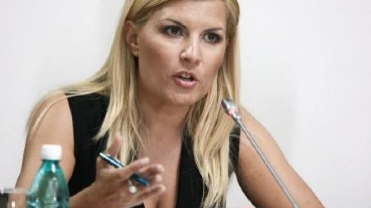 Udrea: PDL ar putea adopta culoarea verde în campanie. Mişcarea ecologistă a luat avânt