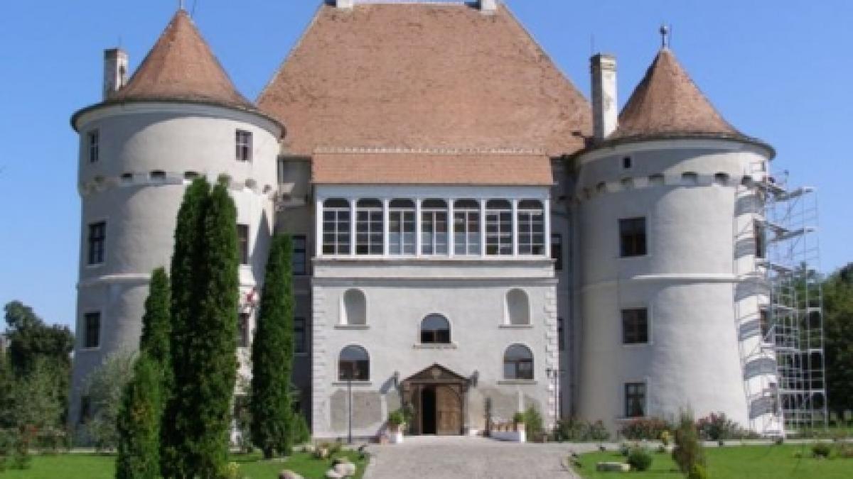 Un castel din Sălaj, transformat în adăpost pentru cai