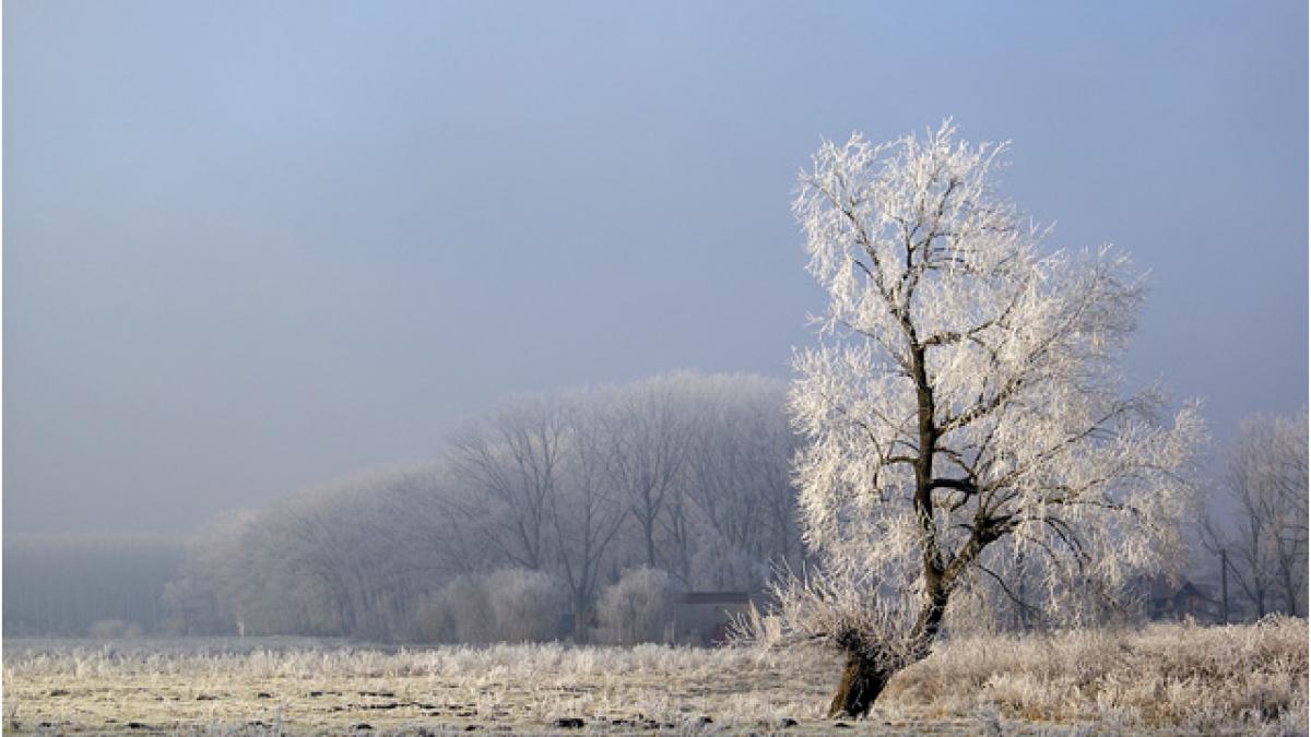 Harghita. A căzut prima brumă, iar temperatura în zori a fost de un singur grad Celsius