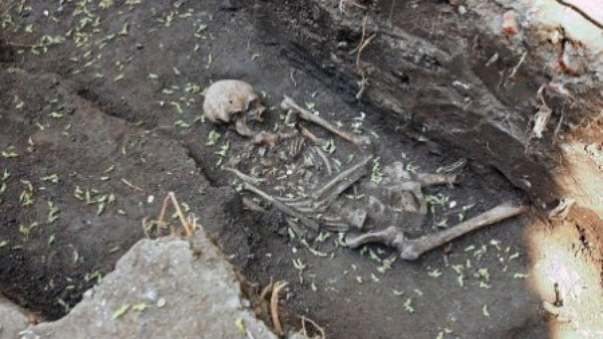 Descoperire istorică: Au fost găsite schelete de peste 500 de ani la Cetatea de Scaun a Sucevei