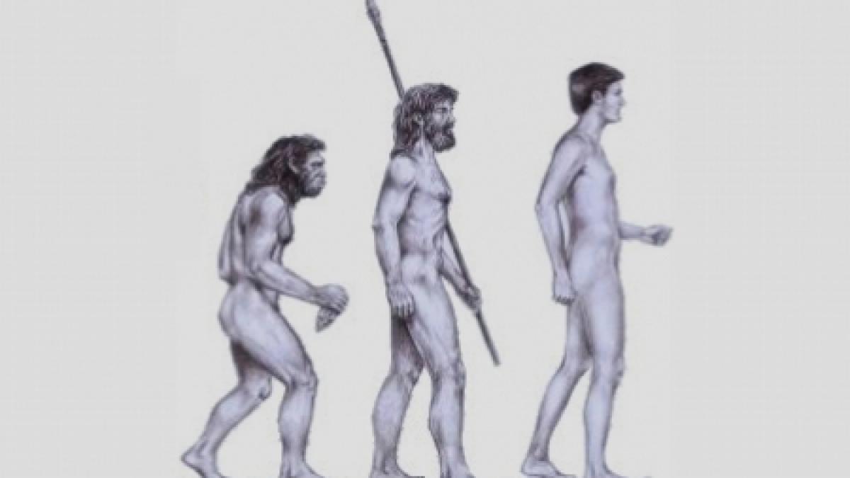 Eurasiaticii se trag dintr-o femeie-hibrid al cărei tată era Neanderthal