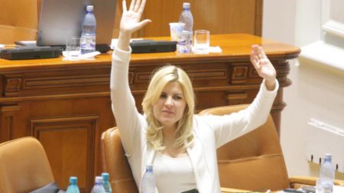 Domnul Elena Gabirela Udrea. Asta a scris pe scaunul rezervat pentru ministru, la meciul România-Franţa