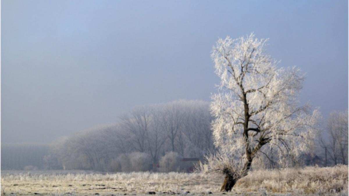 Prima temperatură negativă din această toamnă: minus 0,1 grade Celsius