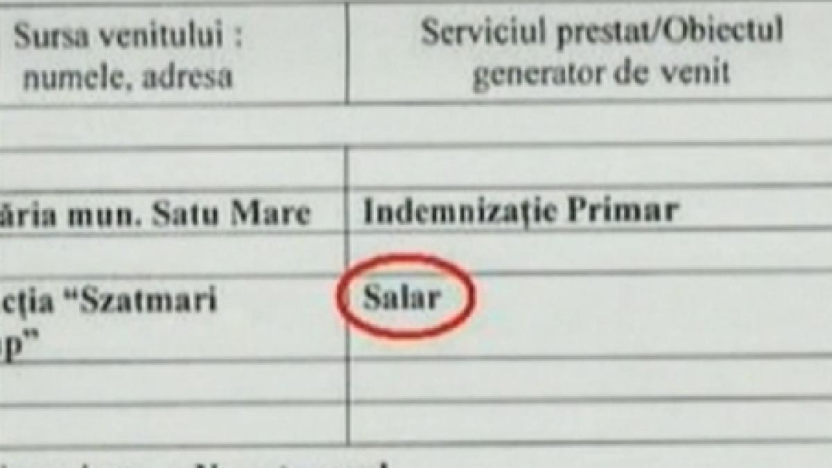 &quot;Perlele&quot; gramaticale ale politicienilor români, scoase la iveală de declaraţiile de avere 