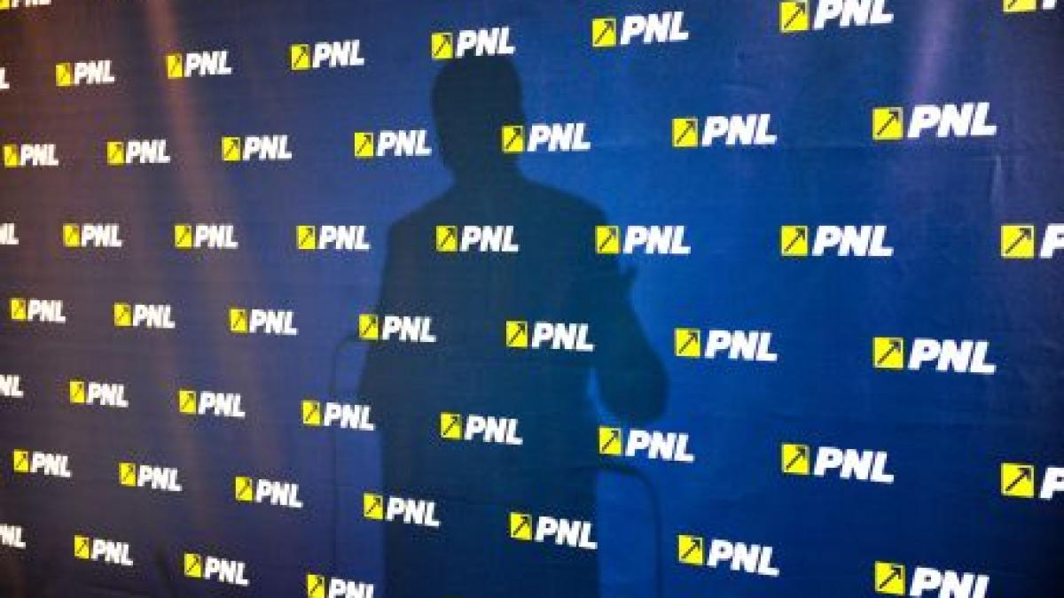 PNL: Demiterea lui Lăzăroiu de la Ministerul Muncii nu este suficientă