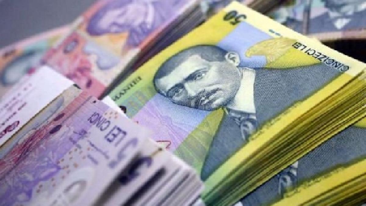 Un bărbat din judeţul Bihor, în urmărie penală pentru evaziune fiscală în valoare de 900.000 de lei 