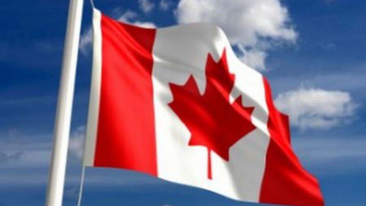 11 români care au încercat să treacă ilegal graniţa dintre SUA şi Canada au fost reţinuţi