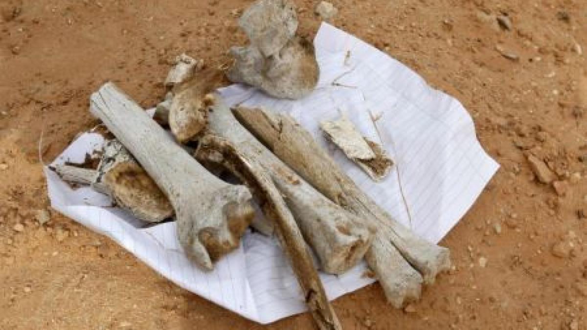 Descoperire macabră în Libia: Peste 1.700 de cadavre, găsite într-o groapă comună