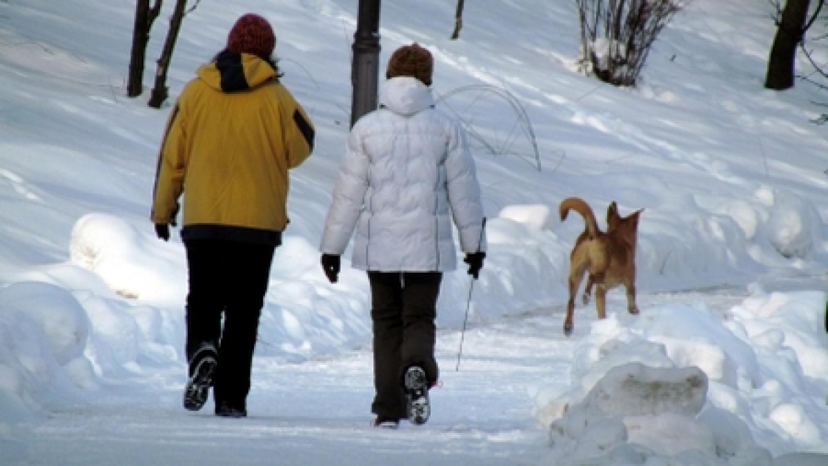 Iarnă în toată regula: Frig şi ninsoare, în majoritatea zonelor ţării. Vezi prognoza meteo 