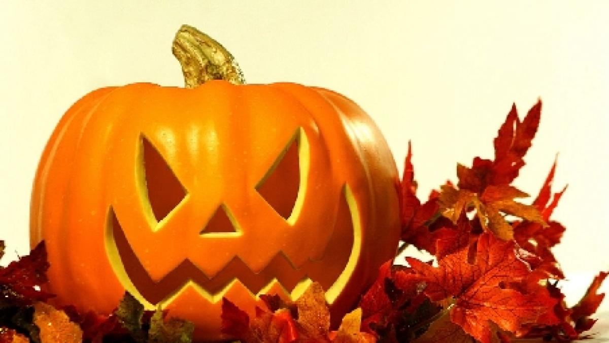 Americanii au rămas fără dovleci de Halloween, din cauza uraganelor