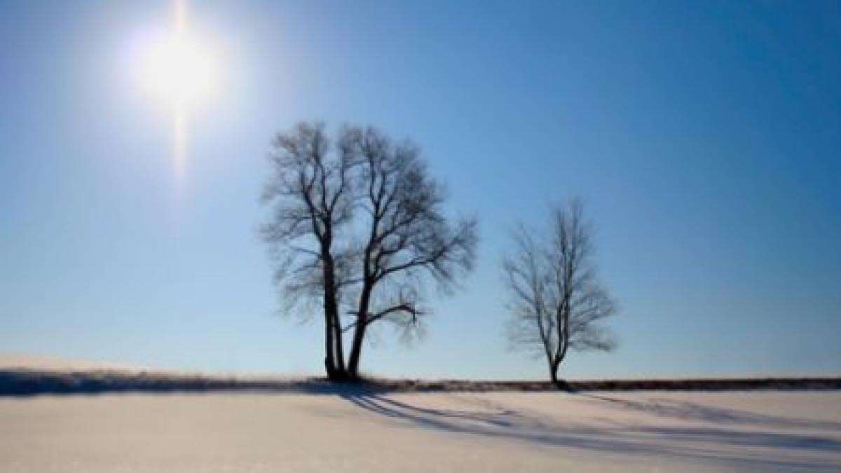 Când vei scoate sania din pod? Află dacă va NINGE de Crăciun din prognoza meteo pe 3 luni