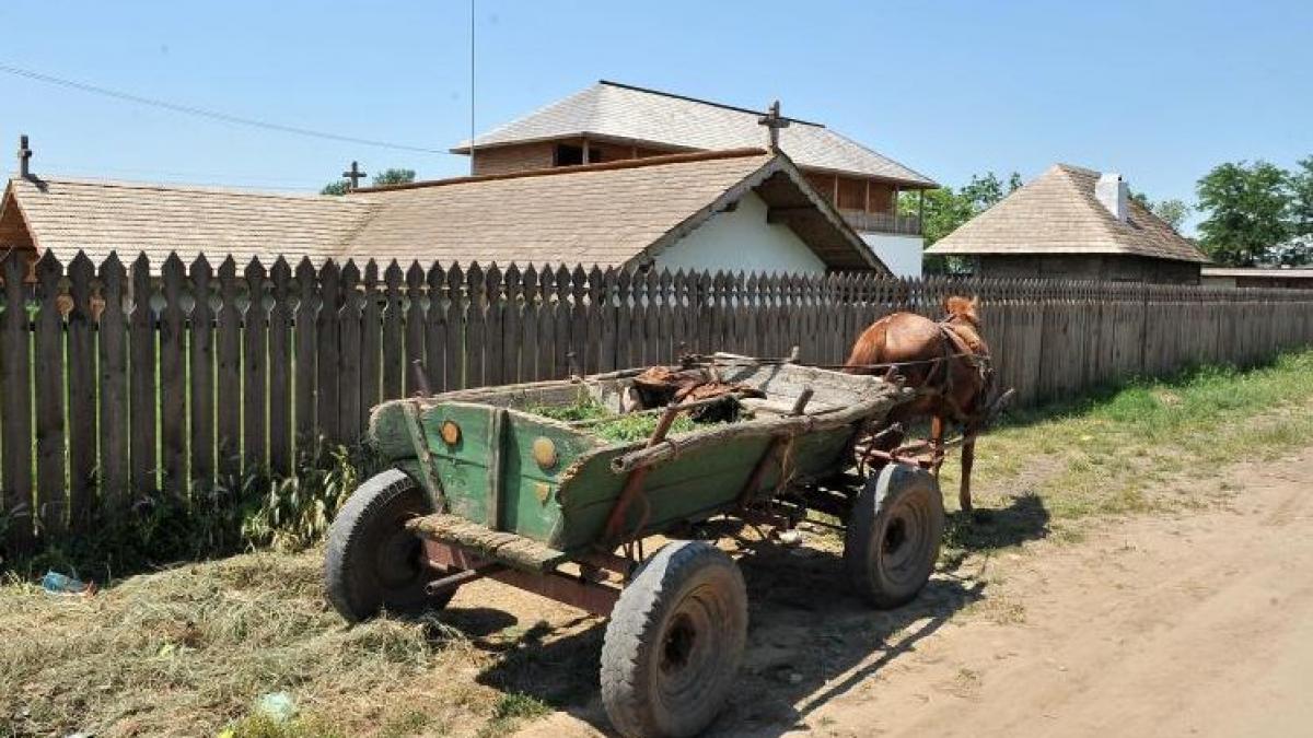 Proxenet la 77 de ani: Obliga fete minore să se prostitueze. Primea în schimb căruţe cu bălegar şi mici 