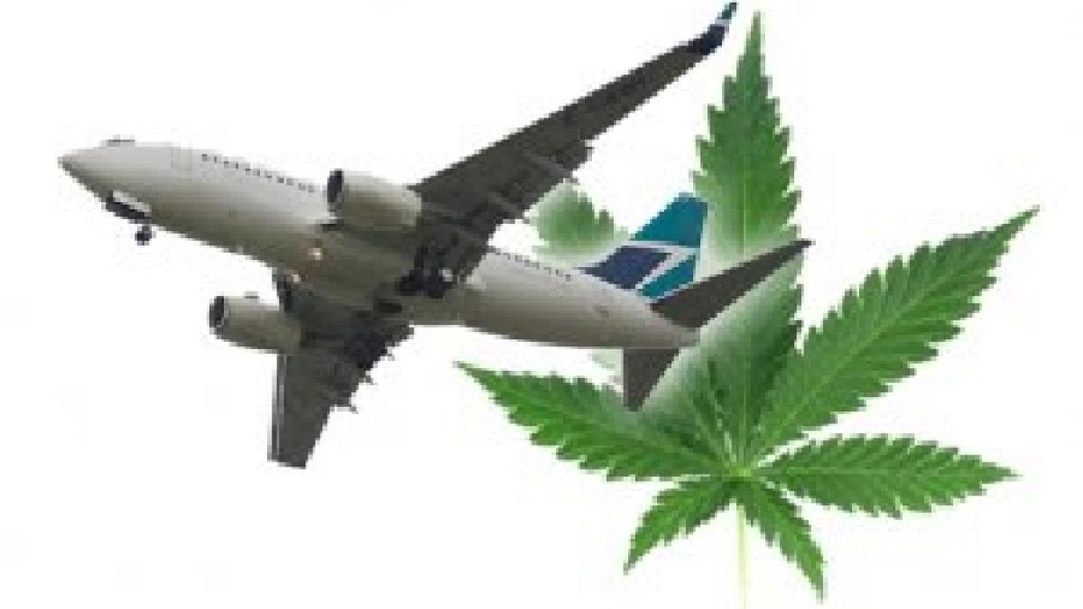 Rusia. Pilotul unui avion a consumat cannabis înainte de a efectua o cursă cu 192 de pasageri