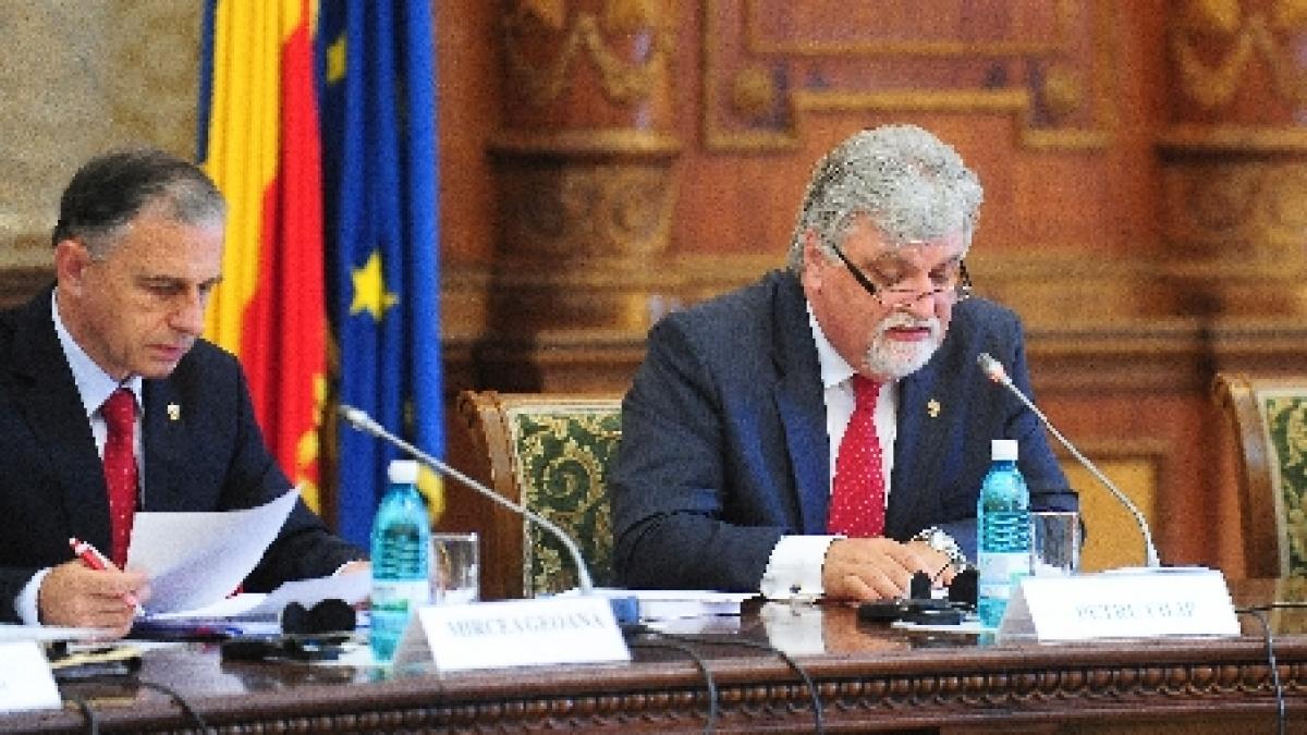 Vicepreşedintele Senatului: Cererea PSD de înlocuire a lui Geoană nu a fost supusă votului în Biroul Permanent