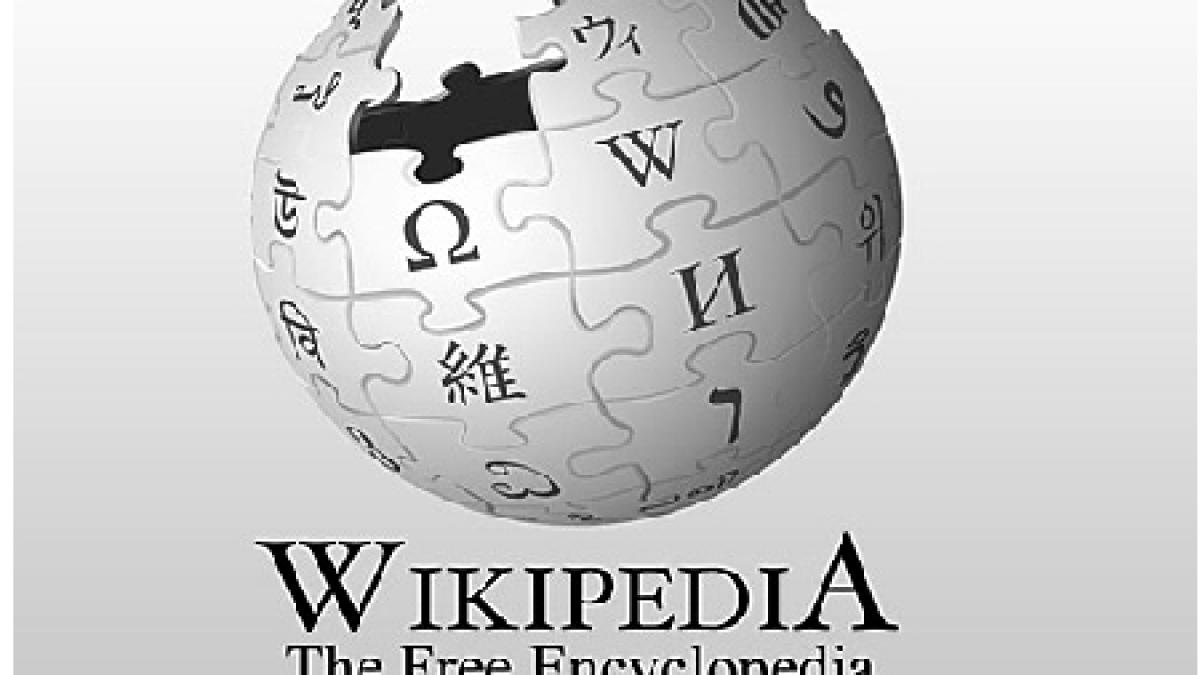 Cofondatorul Google a donat jumătate de milion de dolari Fundaţiei Wikimedia