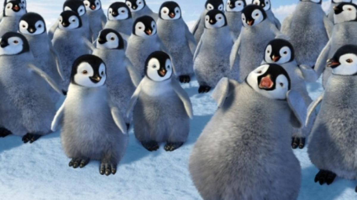 O piesă românească celebră, pe coloana sonoră de la Happy Feet. Ce melodie a cucerit Hollywoodul?