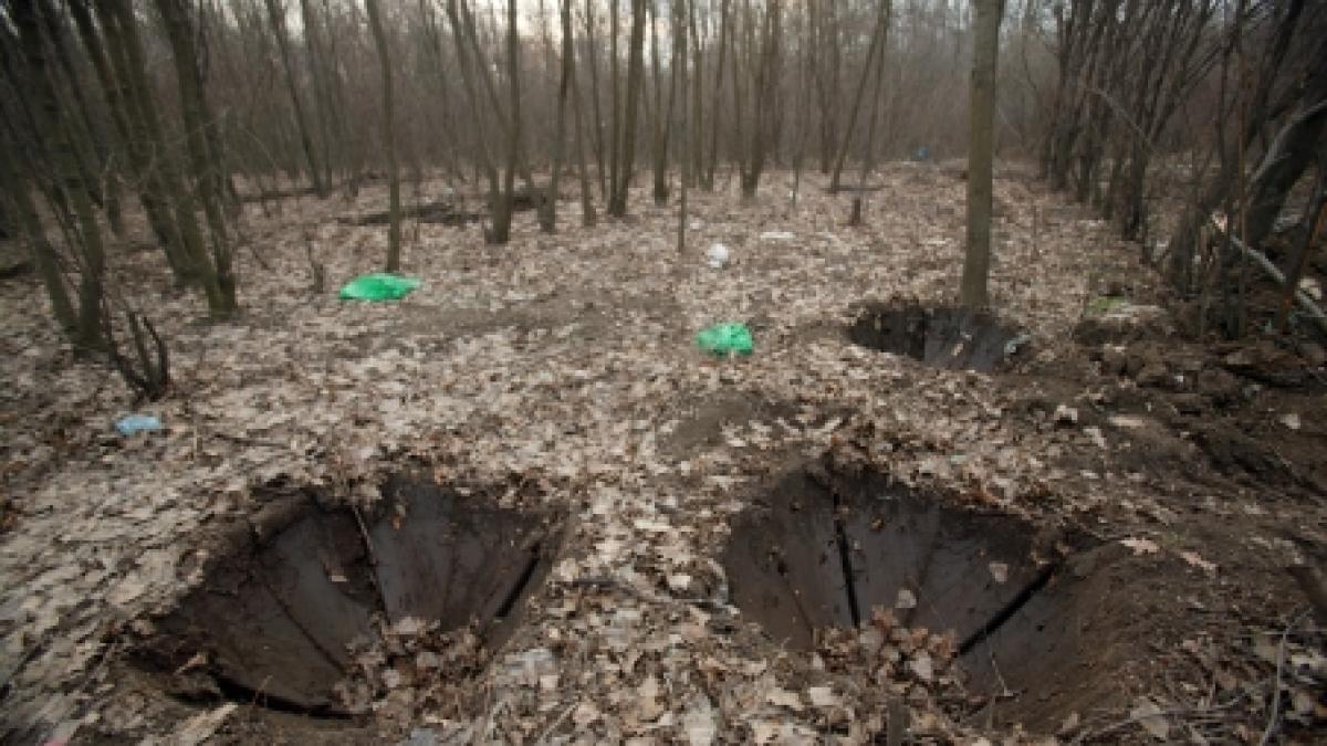 Peste 15 hectare de pădure, defrişate pentru extinderea unui depozit de zgură