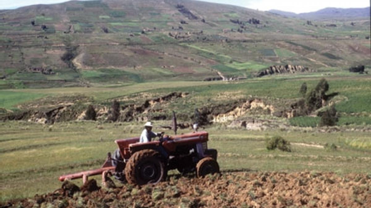 ONU: Un sfert din suprafaţa arabilă a lumii, prea degradată pentru a mai fi utilizată în agricultură